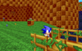 Sonic running.